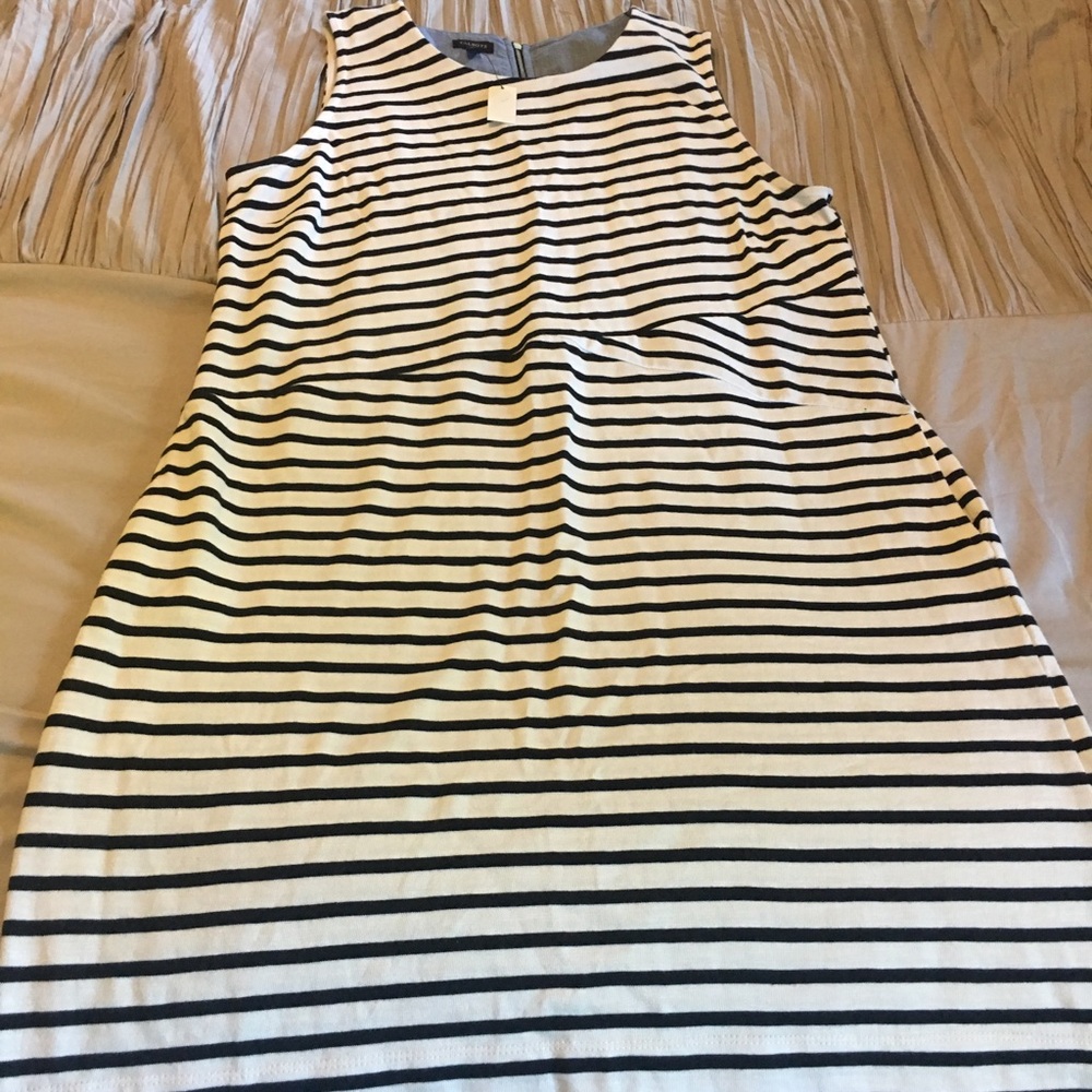 Talbots Dress